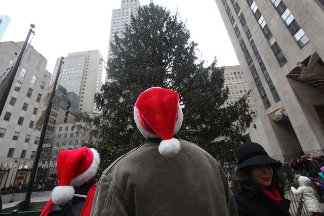 Looking at the Rockefeller Center's Christmas tree